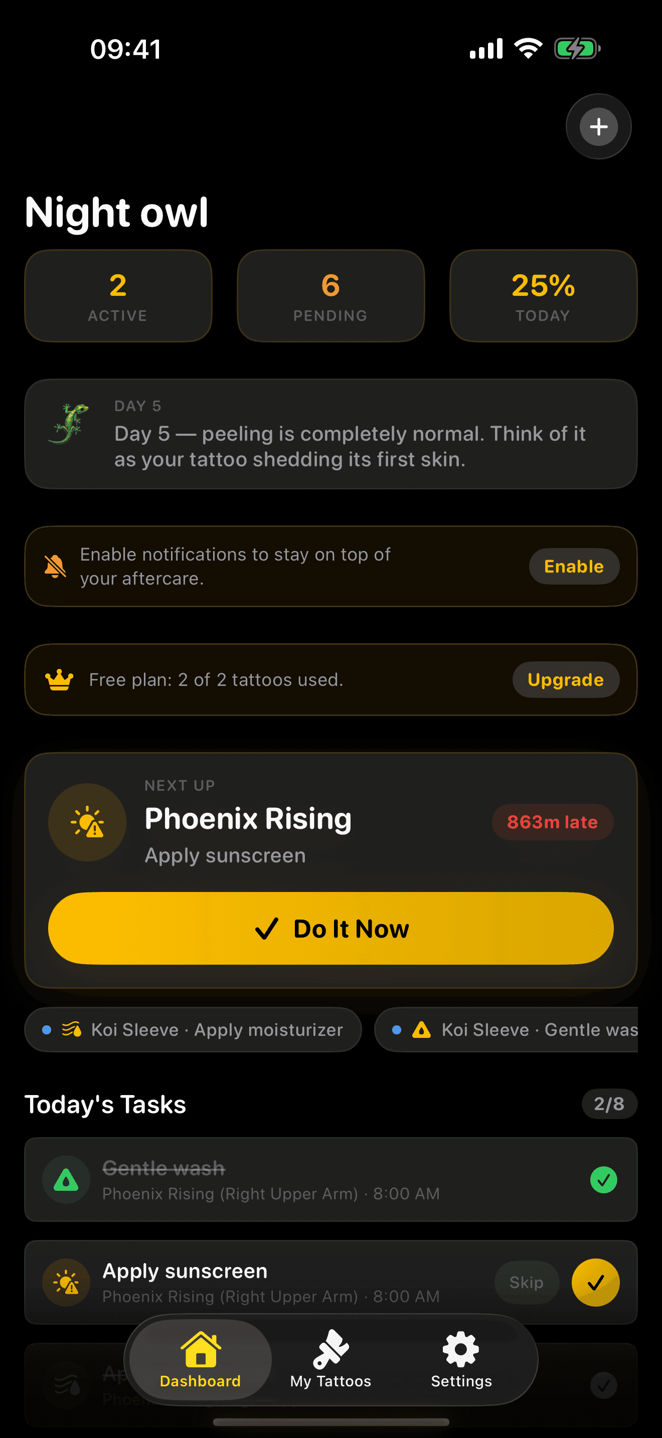 Artist overview and care task management