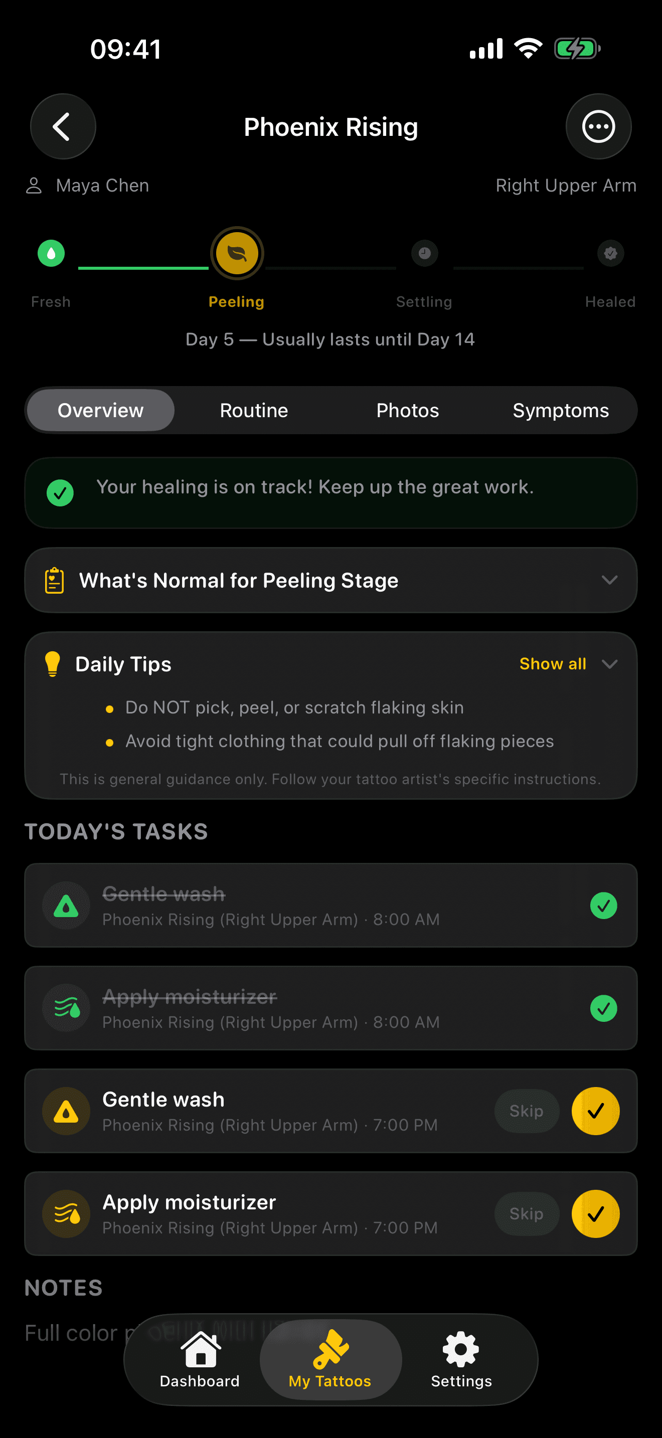 Tattoo detail view with healing stages and daily tips